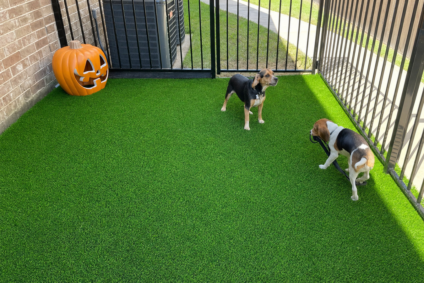 Artificial Turf Installer services in Otay Ranch