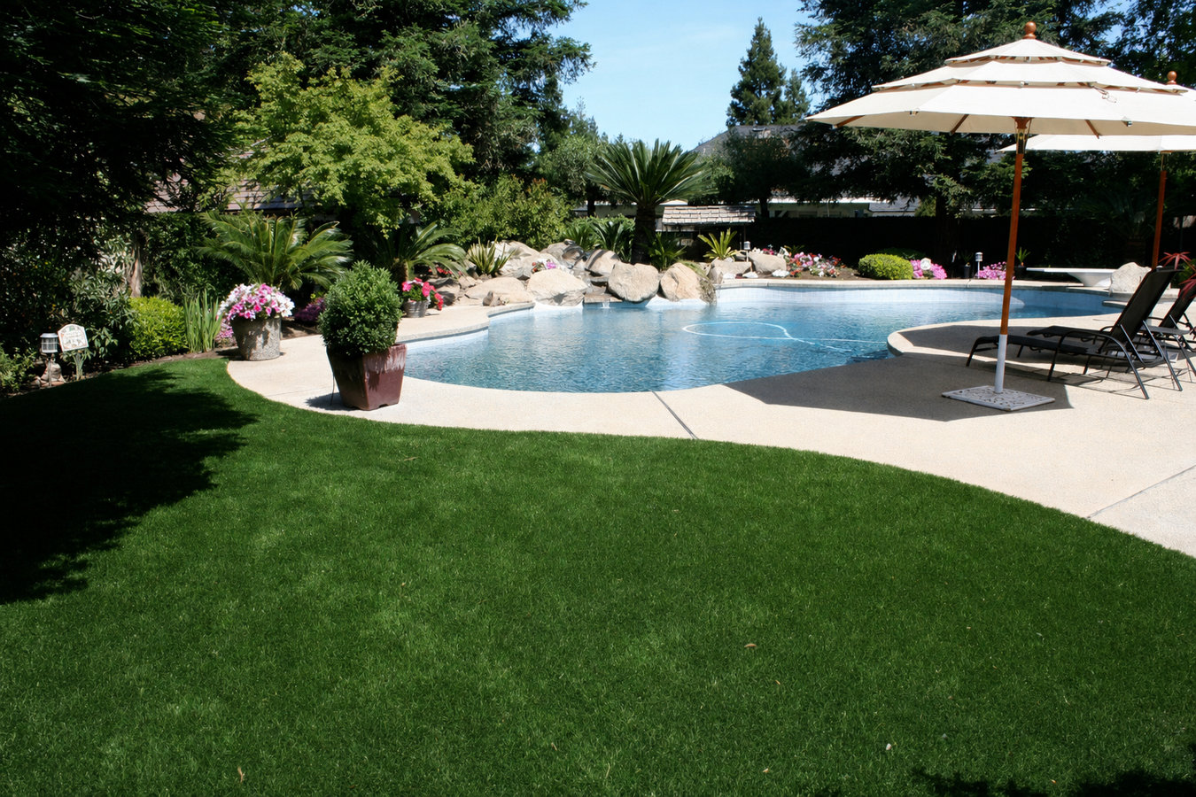 Artificial turf installer services in Bonita